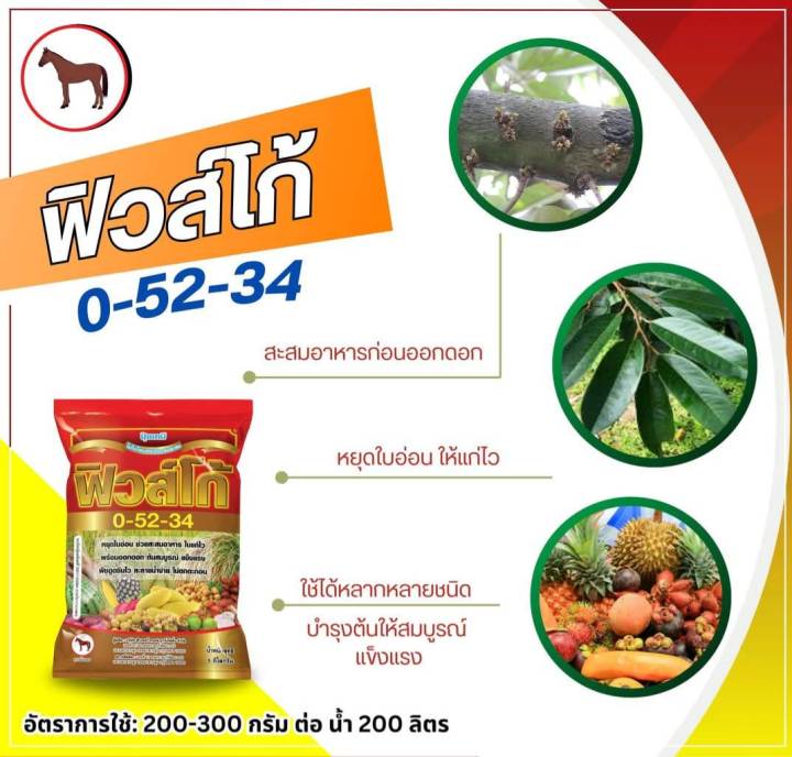 ปุ๋ยเกล็ด 0-52-34 ฟิวส์โก้ 1 กก. หยุดใบอ่อน สะสมอาหาร