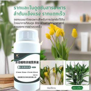 🥳Hot Sale 🥳สารละลายธาตุอาหารพืชไฮโดรโปนิกส์เข้ สารละลายธาตุอาหารเข้มข้นสำหรับพืชไฮโดรโปนิกส์โดยเฉพาะ ปลอดภัยต่อปลาและกุ้ง ส่งเสริมระบบรากแข็งแรง ใบเขียวสวยงาม และลดกลิ่น ใช้งานง่ายและออกฤทธิ์เร็ว น้ำยาเสริมอาหารพืช เร่งการเจริญเติบโต