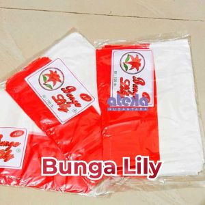 Bendera Plastik Indonesia - bendera plastik merah putih Indonesia