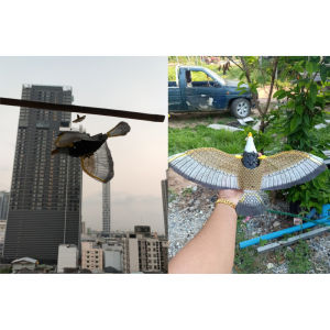 นกเหยี่ยวไล่นก เหยี่ยว ไล่นก หุ่นไล่นก หุ่นแขวนป้องกันนก ไล่นกกินแปลงผัก ที่ไล่นก นกพิราบ อุปกรณ์ไล่นก อุปกรณ์ป้องกันนก