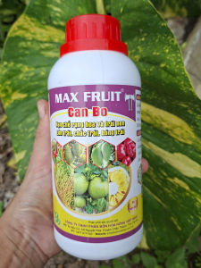 [TRUNG THIEN THINH] Phân bón lá Canxi Bo hạn chế rụng hoa và trái non bổ dung canxi và bo cho cây ăn trái chai 500ml