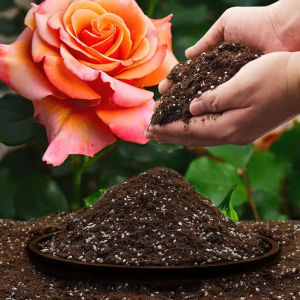 LZD  Coconut Shell Brick Nutrient Soil Universal Coconut Bran Brick Succulent Seedling Soil Planting Flowers Planting Vegetables Planting Soil Climbing  Coconut Shell