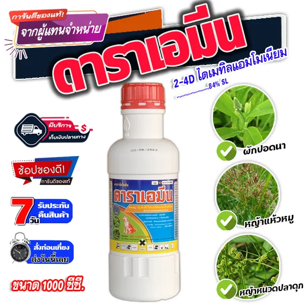ดาราเอมีน หมาแดงน้ำ 2,4-ดี กำจัดวัชพืชใบกว้าง คุณสมบัติเด่น