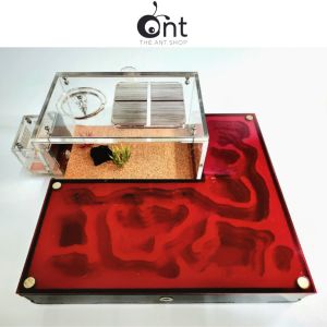 The Jumbo Formicarium 2                                                                                                                                                     - Ant Farm Ant Formicarium Ant Outworld Ant Nest Ant Cages Ant Keeping The Ant Shop