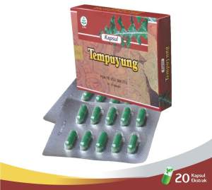 Tazakka Tempuyung Obat Batu Ginjal Herbal Infeksi Saluran Kemih 20 Kapsul Blister.