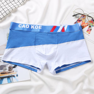 Quần đùi boxer quần lót nam CAO KOE cho Học sinh trẻ trung sinh viên cá tính cotton nguyên chất 100% thoáng khí