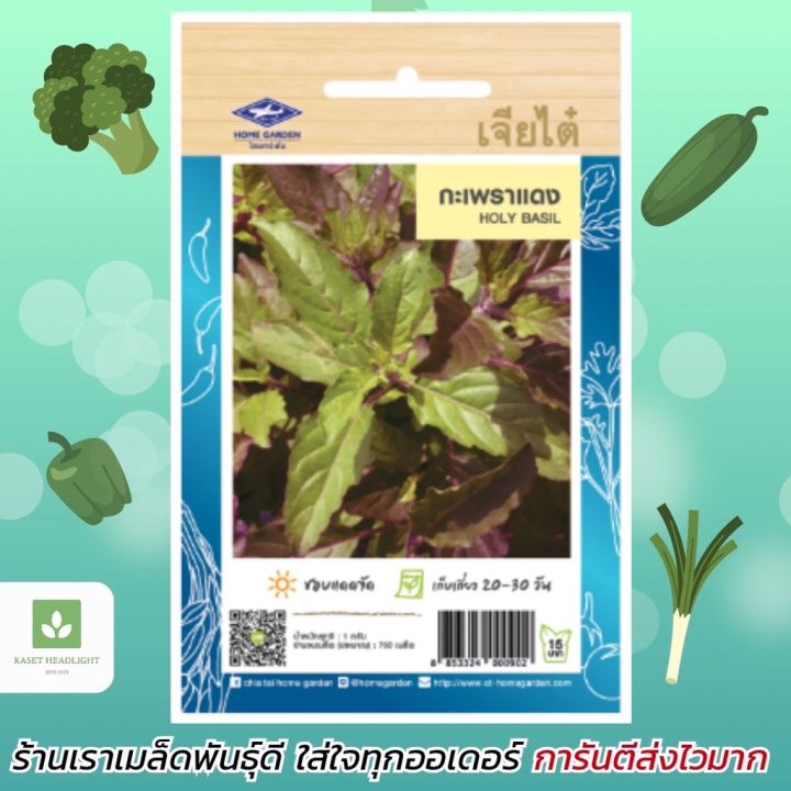 เมล็ดกะเพราแดง เจียไต๋ 750 เมล็ด สีสวย