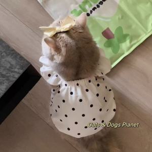 Cute Pet Dog Dress Dot Dog Summer Clothes Puppy Skirt Chihuahua Bichon French Bulldog Teddy Dresses