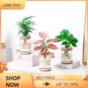 Lokei Transparent Flower Pot Hydroponic Automatic Water Absorption Plastic Flower Pot