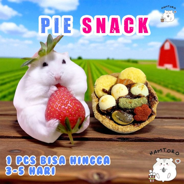 %5BPREMIUM%5D%20Pie%20Susu%20Snack%20Hamster%20%7C%20Cemilan%20Kelinci,%20Kucing,%20Sugar%20Glider%20%7C%20Makanan%20Hamster%20Pie%20Buah%20-%20Image%206