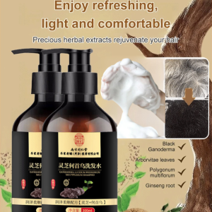 Dark smooth hair shampoo Deep cleansing hair follicles Herbal Hair Care botanical extracts Lingzhi Polygonum Multiflorum Shampoo