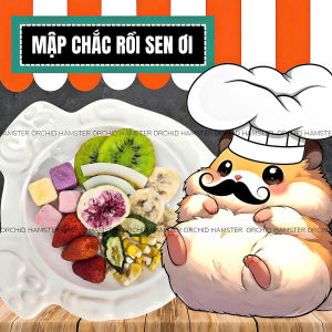 Thức Ăn Hamster Trái cây Nhiệt Đới Bổ Sung Vitamin A/chất xơ/Protein Cho Hamster SócThỏ/Bọ/Rát....