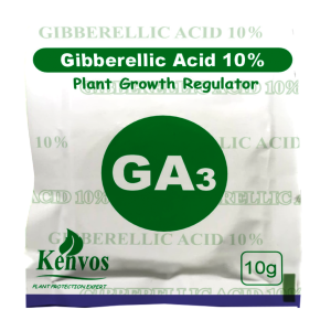 GA3 Plant Growth foliar Gibberellic Acid 10%Tablet 10g gibberellic for RICE CULTIVATION