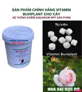 Phân bón hữu cơ tan chậm BUVIPLANT SIÊU DINH DƯỠNG CHO CÂY CẢNH_HÀNG CHÍNH HÃNG BUVIPLANT HUNGARY - HSD MỚI NHẤT
