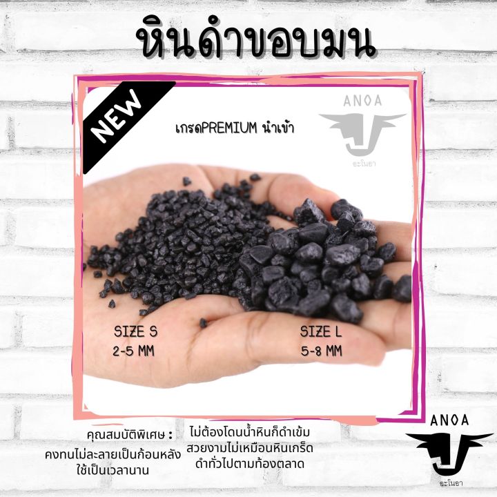 หินดำขอบมนนำเข้า สำหรับโรยหน้ากระถางแคคตัส ไม้อวบน้ำ