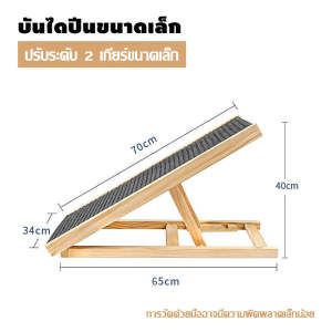 บันไดสัตว์เลี้ยง บันไดสุนัข สามารถรองรับน้ำหนักได้มาก ปรับระดับความสูงได้ พับได้ ทางเดินสุนัข กันลื่น ทนต่อการสึกหรอ
