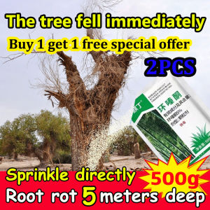 The tree fell immediately tree killer Sprinkle directly herbicide Root rot 5 meters deep weed killer racun pokok racun rumput 除草剂 环嗪酮