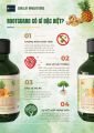 Đặc Trị Nấm Cây Trồng 100% Hữu Cơ Chiết Xuất Từ Gừng, Thơm & Vitamin B1 | SunLeaf. 