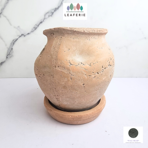 The Leaferie Yun Terracotta Flowerpot flowerpots flower pot . plant pots planter . planters Plants