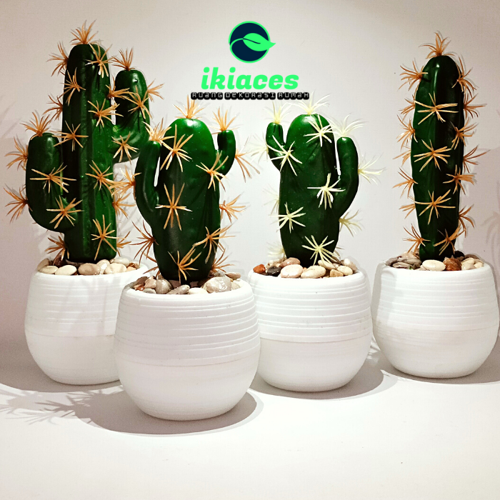 KAKTUS SUKULEN MINI KAKTUS PLASTIK KAKTUS POT MINI KAKTUS ARTIFICIAL BUNGA  PLASTIK DEKORASI KAKTUS SUKULEN BERDURI MURAH BAYAR DI TEMPAT Kaktus Pot  Shabby Chic - Lazada | Lazada Indonesia