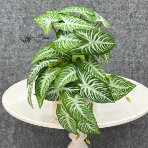 Thành Phẩm Chậu Môn Leo cây nhựa giả trang trí tường cây góc học tập và làm việc siêu đẹp như thật. Hoa Lụa LyLy Decor
