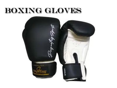 Boxing gloves Premium