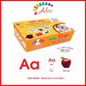Flashcard - Thẻ học thông minh 16 chủ đề 256 thẻ loại lớn 12x16cm