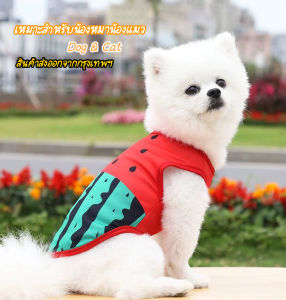 （พร้อมส่ง）เสื้อยืด เสื้อสุนัข เสื้อหมา เสื้อแมว ลายแตงโม ลายน่ารักกระบายอากาศได้อย่างดี  ใส่วันสบายๆได เนื้อผ้าอย่างพรีเมี่ยม