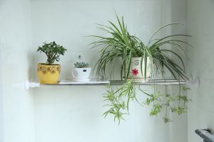 Thanh treo rèm không cần khoan tường chân tròn màu trắng PYB2211