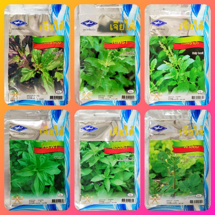 เมล็ดพันธุ์ผัก เจียไต๋ กะเพราแดง กะเพรา โหระพา แมงลัก