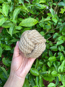 Banh Dây Thừng Gai - Dây cotton -Banh Xơ Dừa – Đồ Chơi Gặm Răng Bền Giúp Làm Sạch Răng Chống Cắn Phá đồ đạc
