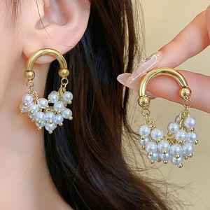 Fashionable Ring Gift 欧美跨境个性时尚几何葡萄串珠流苏耳坠精致轻奢百搭显瘦耳环批发
