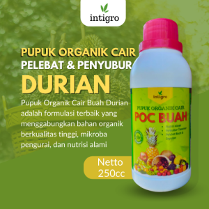 Obat Penyubur Tanaman Durian Bibit / POC Pupuk Pelebat Buah Durian Pelebat Pemanis Pembesar Durian