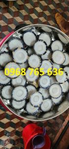 Nồi hấp bánh bèo Nồi hấp bánh bao chạy điện size 52cm có 3 tầng hấp
