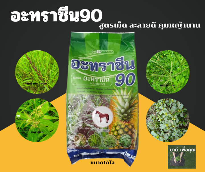 อะทราซีน90 ยาคุมหญ้าข้าวโพด อ้อย สับปะรด สูตรเม็ด