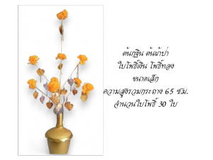 ต้นผ้าป่า ต้นกฐิน ใบโพธิ์ เงินทอง และ ใบโพธิ์ คละสี