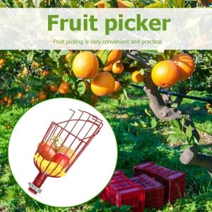 Dụng cụ hái trái cây trên cao bằng sắt có đệm mút chống dập đầu kẹp trái cây gắn cán tiện lợi - Snappy 4U