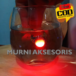 Murni Aksesoris. Cincin Viral Cincin Merah Delima Ring Titanium Bisa Menyala Didalam Air. Batu Sulap Merah Delima bisa Menyala Dalam Air.