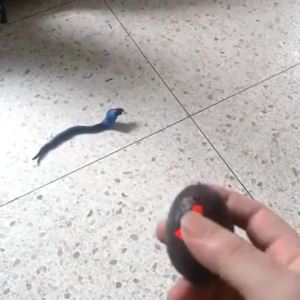 2025 ของเล่นเด็กการควบคุมระยะไกลงูจำลองไฟฟ้าน่ากลัวสัตว์สามารถเคลื่อนย้ายงูพิษแมลงสาบหากินงูเห่าหลอกสร้างสรรค์