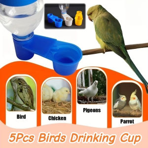 5Pcs Birds Automatic Waterer Bowl Parrots Chicken Pigeon Quail Drinking Cup Bird Feeder Accessorie