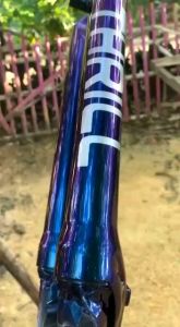 CAT BUNGLON PU 100ML RED-PURPLE-BLUE BY SCP