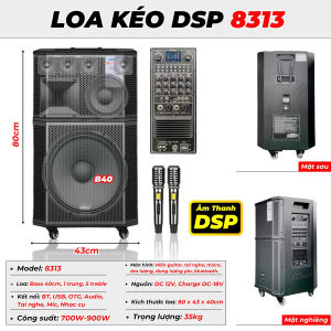 Loa Karaoke Nội Địa MT MAX 8313  Bass 40 1 Trung 5 Treble Chip DSP - Công suất  500-1500W PMPO 3000W - Nguồn: DC 12V Charge DC-18V - Kết nối: Bluetooth USB OTG Audio Tai nghe Mic Nhạc cụ - Màn hình hiển guitar tai nghe mic CHỐNG HÚ HÁT HAY