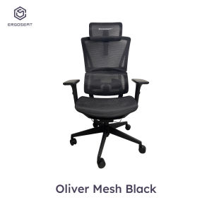 Ergoseat - QW+ Series Ergonomics Home Office Chair Computer Chair Auto Spring Lumbar Support - Include Delivery