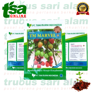 TM Marvel isi 1.500 dan 3.000 biji - Benih bibit sayuran sayur tomat buah lebat