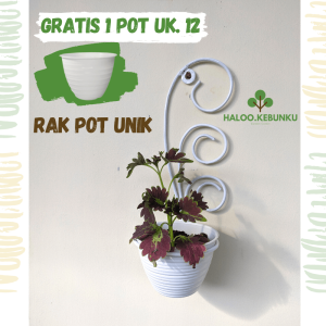 Gantungan Pot Bunga Minimalis Model Melengkung Ukuran Pot 12-15