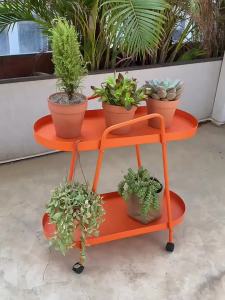Flower Plant Stand Shelf Indoor Flower Plant Rack Online Sensation Flower Shelf Plant Placement Flower Plant Stand Shelf