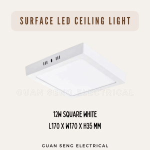 Premium Luz LED 12W 18W 24W Ceiling light Surface Mounted Downlight | Guan Seng Electrical