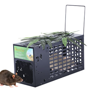 ✅ {ราคาโรงงานต่ำ} 2024 กับดักหนูใหม่ที่ละเอียดอ่อนและมีประสิทธิภาพ