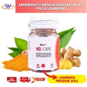 VG CARE Obat Asam Lambung Herbal Alami Atasi Maag Gerd Mual Perut Kembung 30 Kapsul