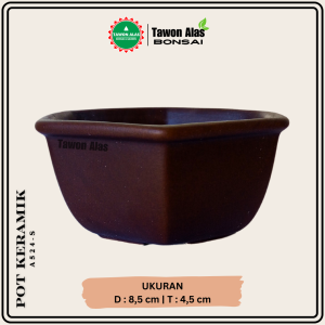 Pot Keramik Bonsai Sukulen Kaktus Segi Enam Kecil Small Bukan Plastik - Cokelat